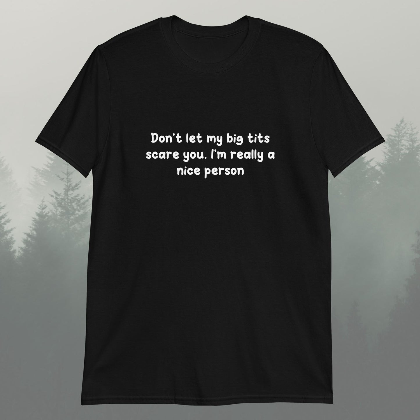 I’m A Nice Person Unisex T-Shirt