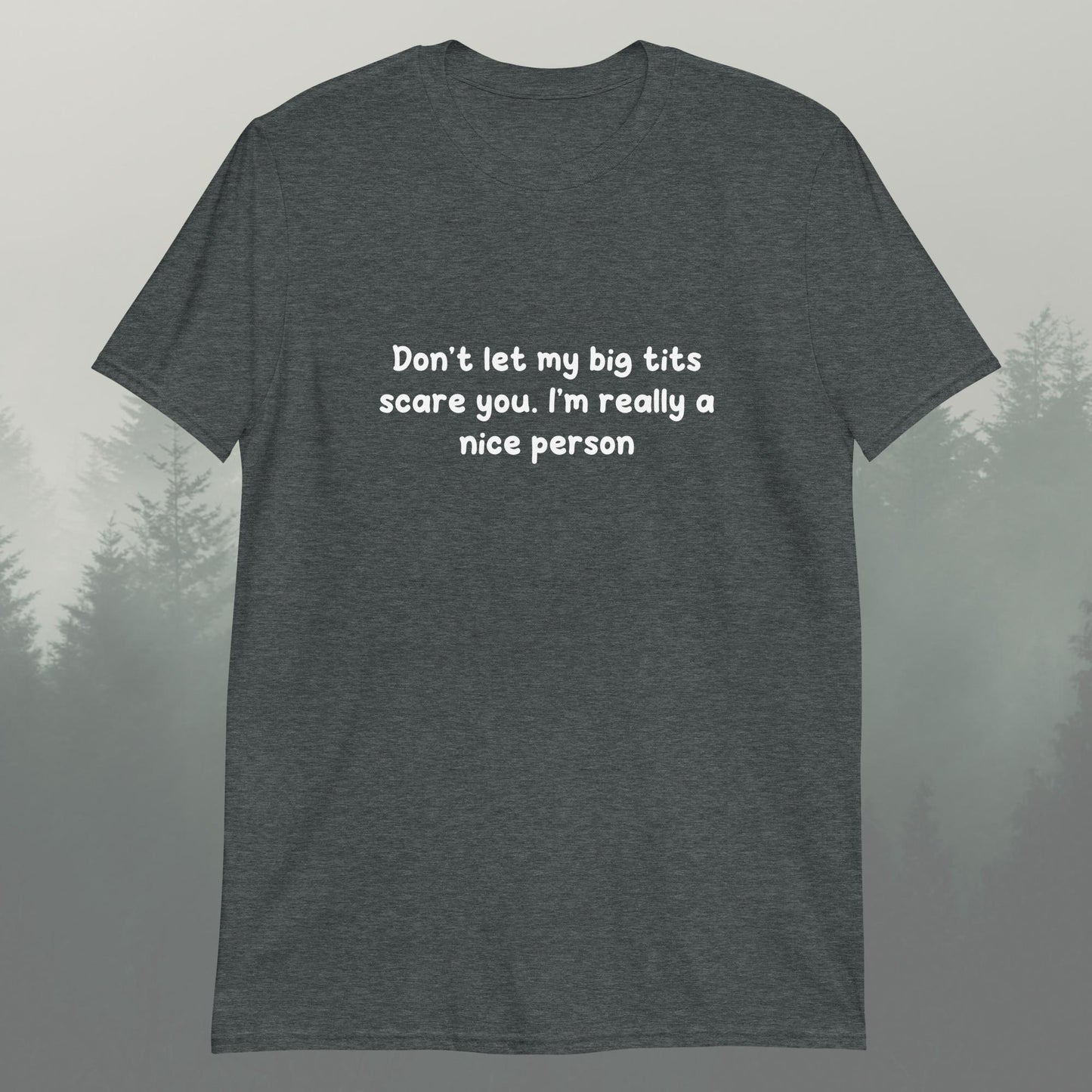 I’m A Nice Person Unisex T-Shirt